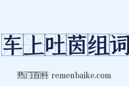车上吐茵组词是什么意思的图片
